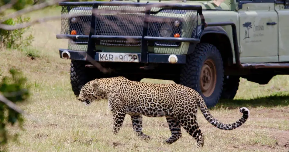 package hotel listing