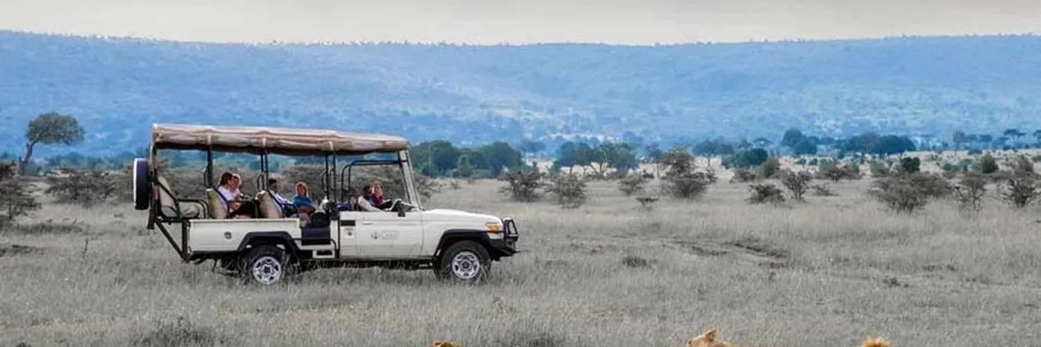 En-route Game Drive & Evening Game Drive